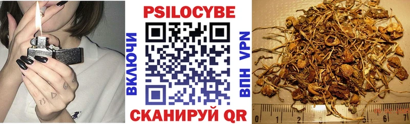 Псилоцибиновые грибы Cubensis Моздок