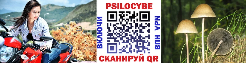 Псилоцибиновые грибы Cubensis  Моздок 