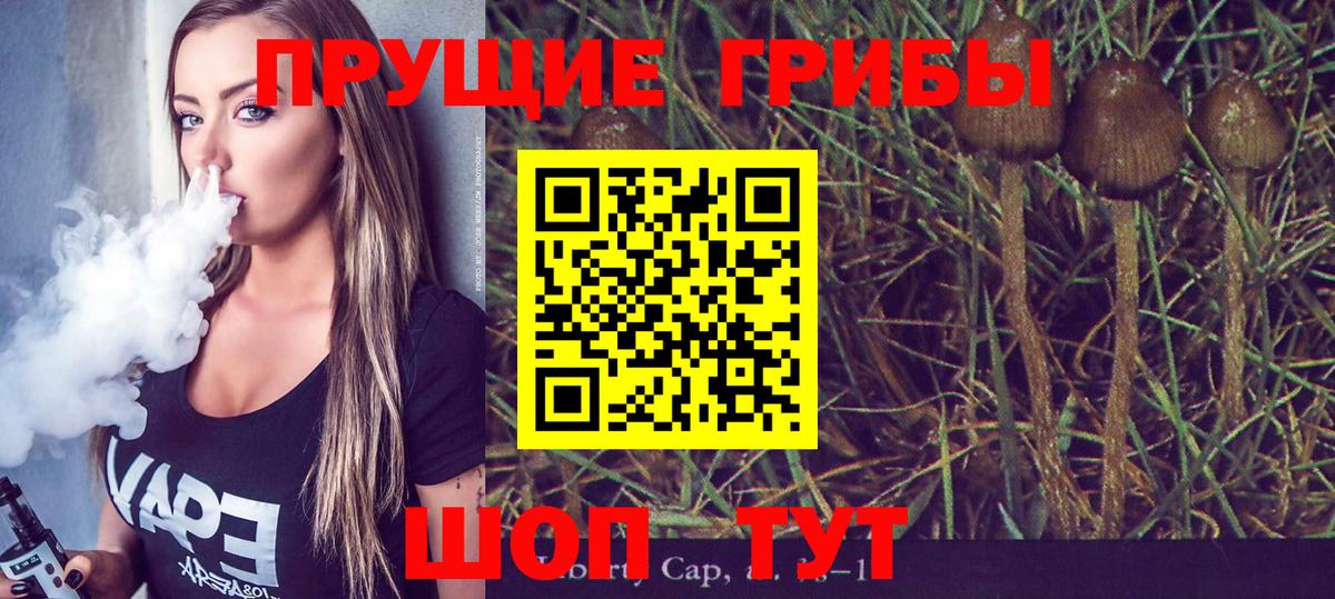 Псилоцибиновые грибы ЛСД  Галлюциногенные грибы GOLDEN TEACHER  Моздок  Вход с VPN 