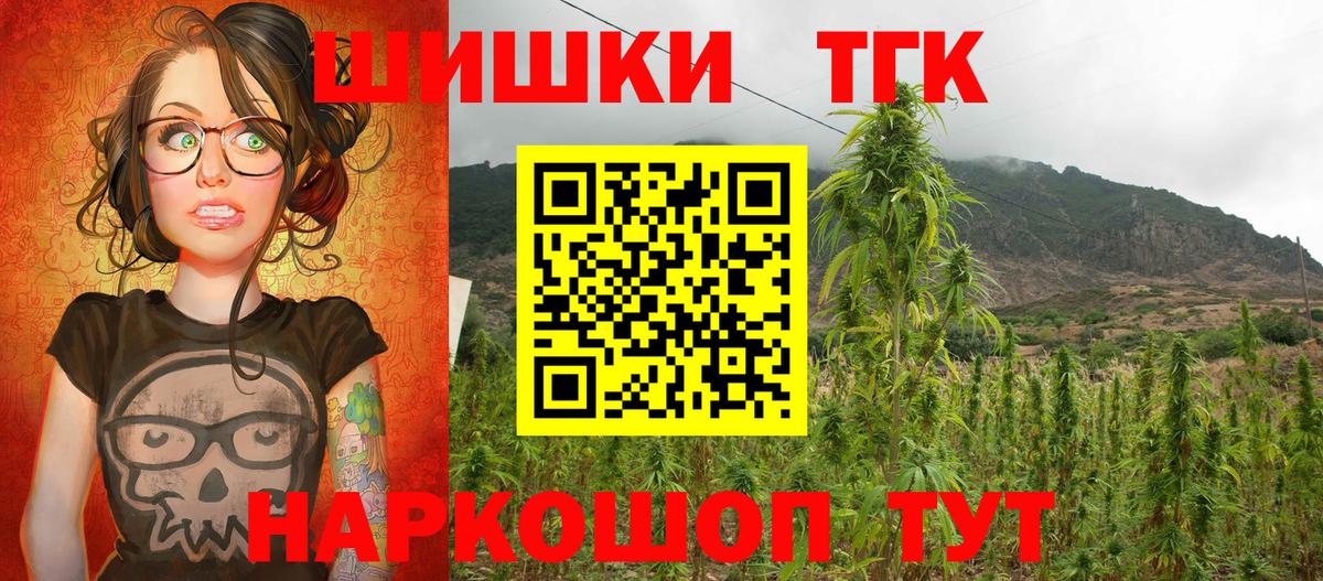 Шишки марихуана марихуана Моздок